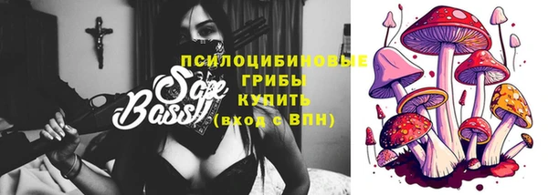 гашик Богородицк