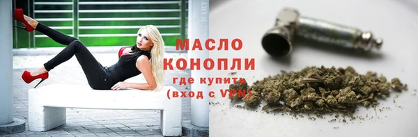 гашик Богородицк