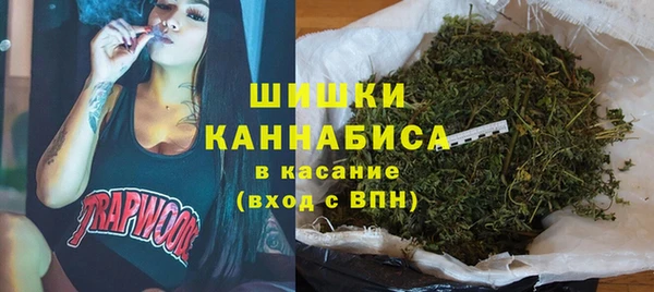 гашик Богородицк