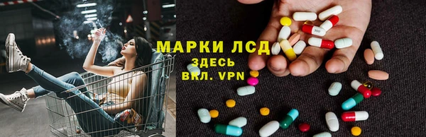 mdpv Богданович
