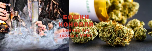 mdpv Богданович